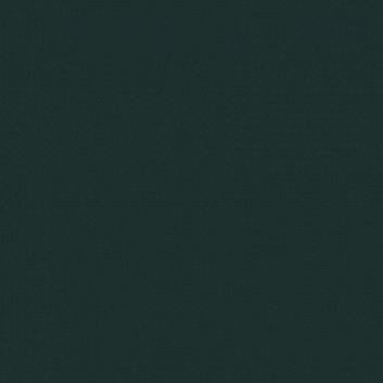 The New Blacks Muschio