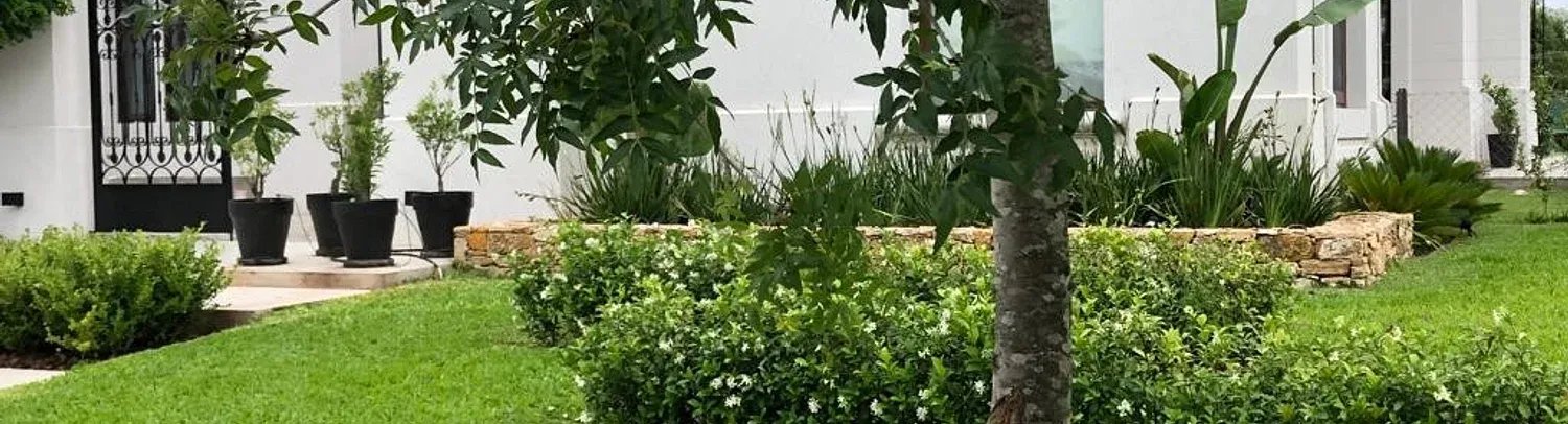 Como cuidar tu jardín en verano