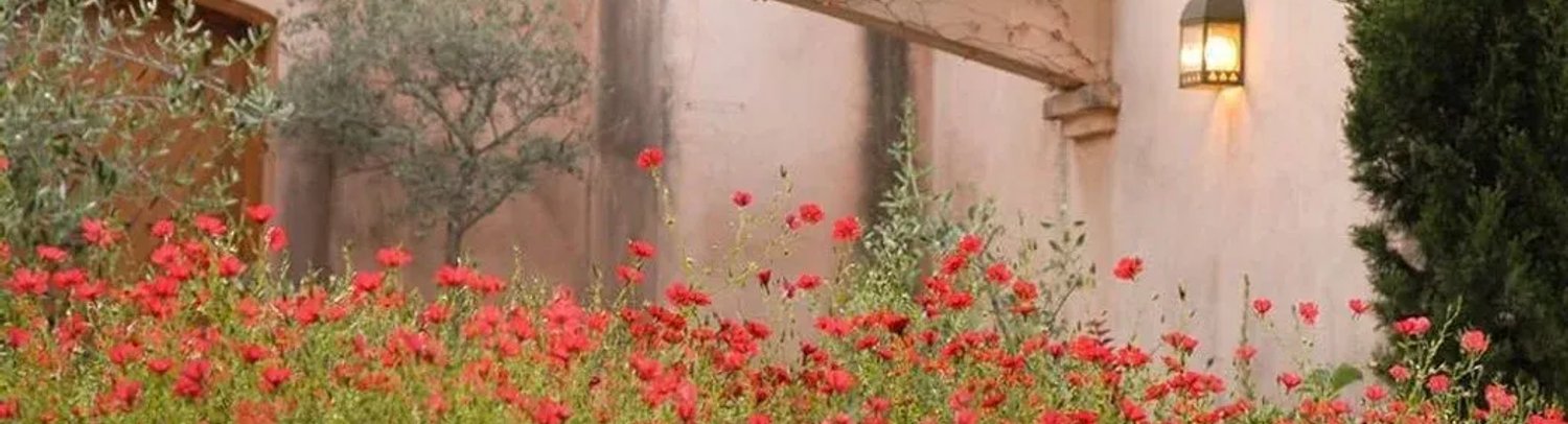 Paisajismo y jardinería: ¡Dale la bienvenida a la primavera con estos tips!