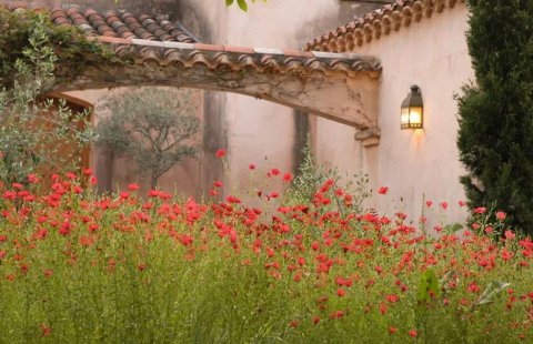 Paisajismo y jardinería: ¡Dale la bienvenida a la primavera con estos tips!