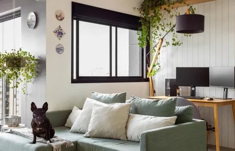 Pets: dicas de decoração para deixar seu animal seguro em casa