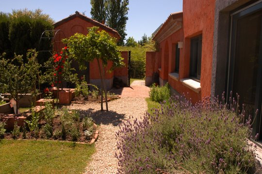 Foto del proyecto