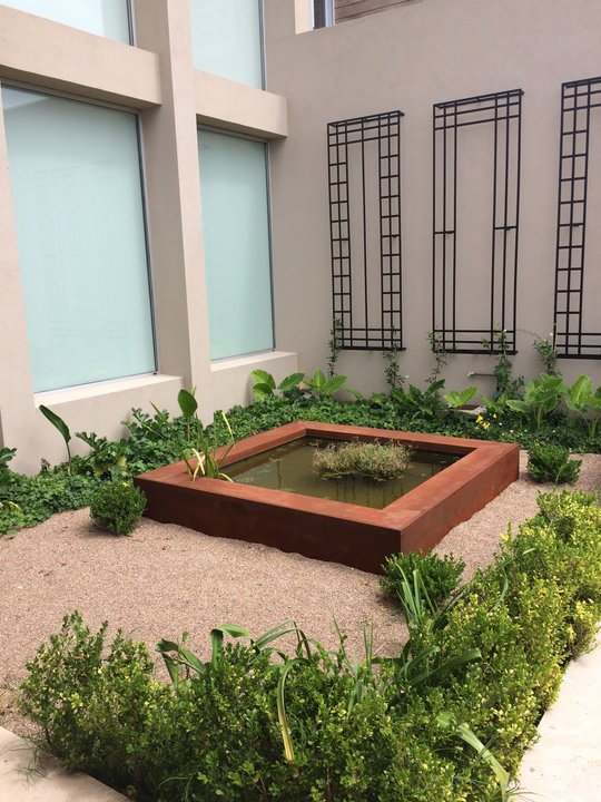 Foto del proyecto