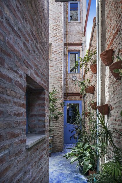 pasaje angosto con puerta azul y plantas colgantes — proyecto Casa Warnes, por Silvia Soqueff, en CABA