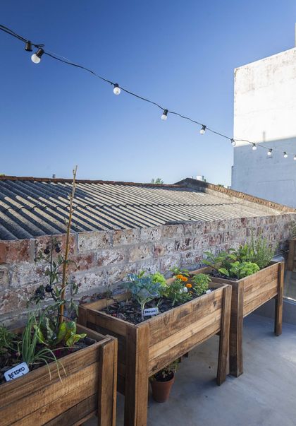 Terraza con huerto urbano y luces colgantes — proyecto Casa Lavalle, por Silvia Soqueff, en CABA