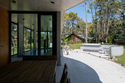 terraza moderna con piscina de hormigón rodeada de bosque — proyecto Casa G y G, por TAVA Coop, en Cariló