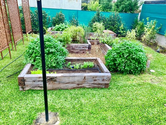 Foto del proyecto