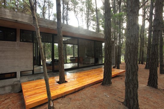 Foto del proyecto