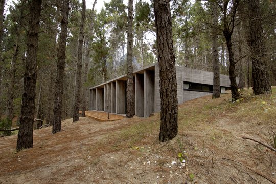 Foto del proyecto