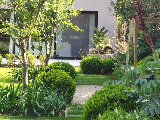 Foto del proyecto