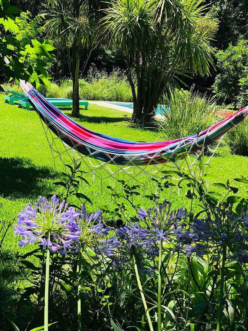 Como cuidar tu jardín en verano
