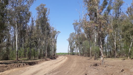 Foto del proyecto