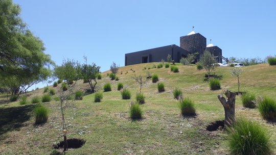 Foto del proyecto