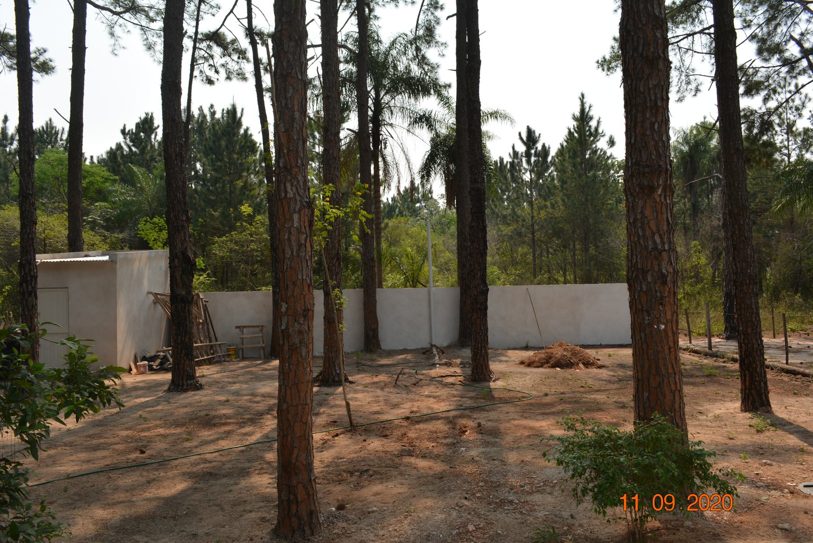 fachada moderna em ambiente de floresta com vegetação e cimento — projeto Casa en el Bosque, por Arquitecto Gustavo Maidana, em Santa Ana de los Guácaras