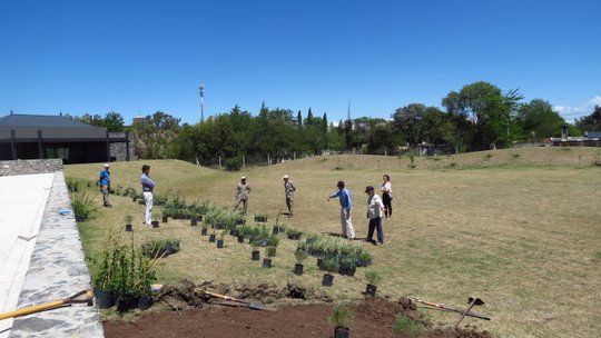 Foto del proyecto