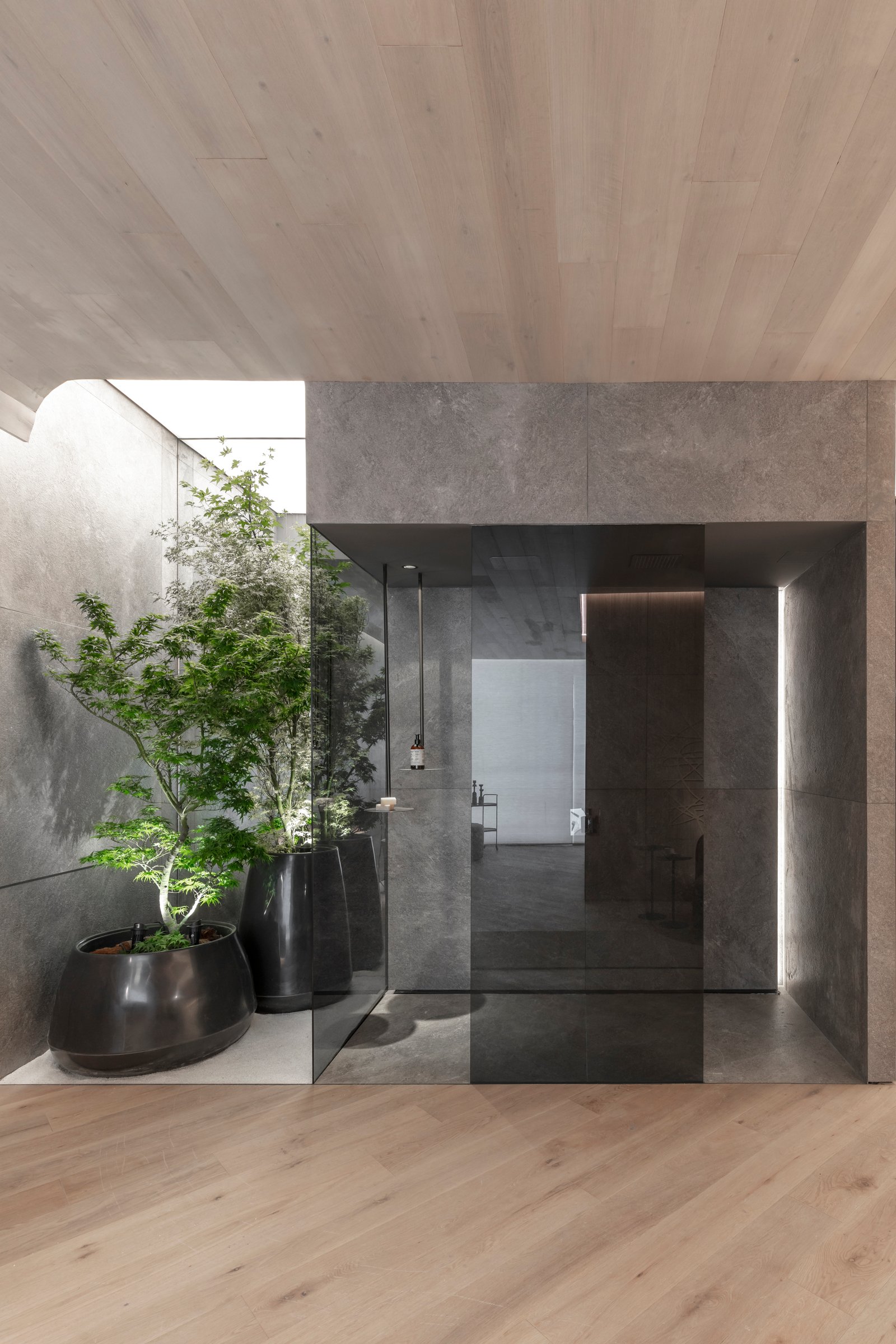 Corredor moderno com plantas grandes e acabamentos em pedra — projeto Casa Foa 2024 | Ritual de bienestar | Wellness ritual | Lucia Quinteros, por Ren Studio, em Cdad. Autónoma de 