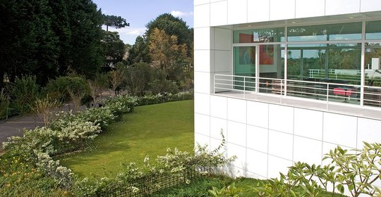 Foto del proyecto