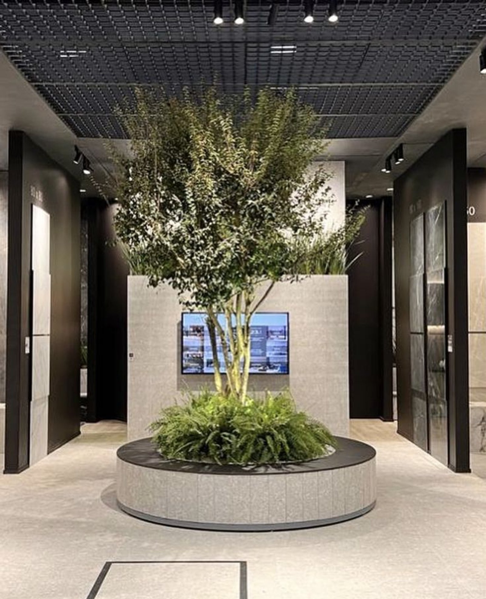 interior de local comercial moderno con árbol central y pantalla — proyecto Expo Revestir 2023, por Vite Porcellanato, en São Paulo