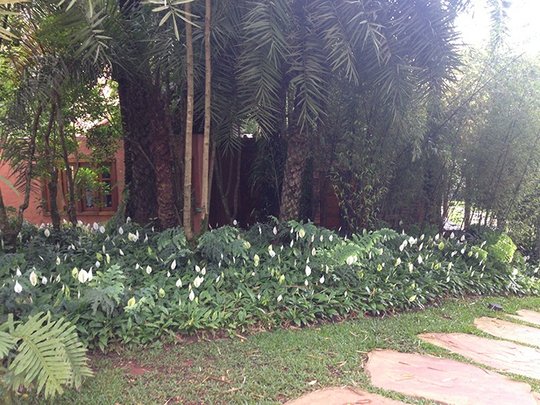 Foto del proyecto
