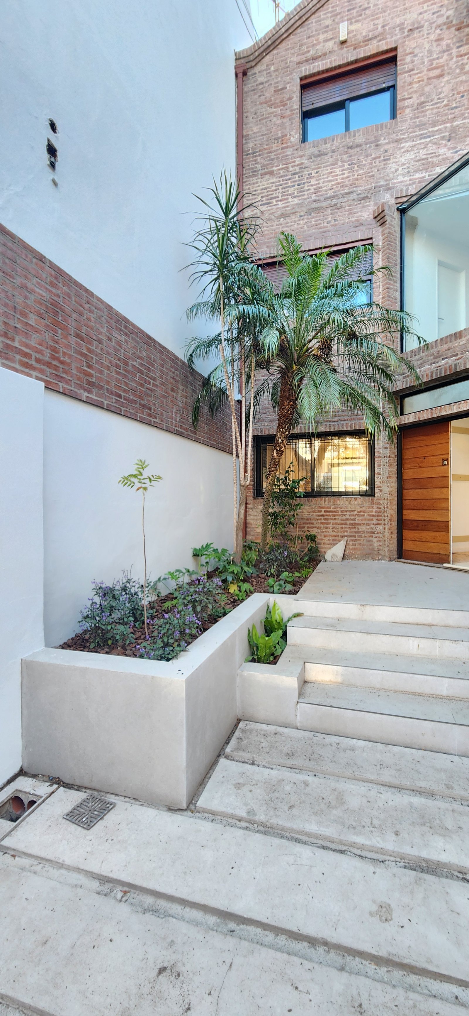 Fachada moderna con ladrillo visto, plantas y escalones de concreto — proyecto Casa PLAZA, por Estudio Rifahi, en Belgrano R