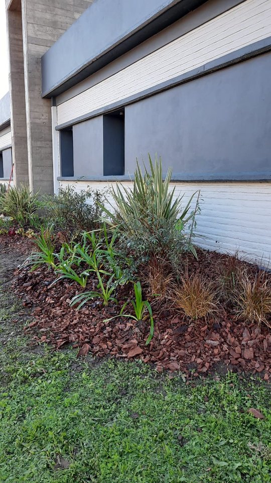 Foto del proyecto