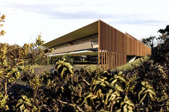 Foto del proyecto