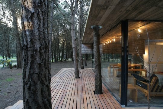 Foto del proyecto