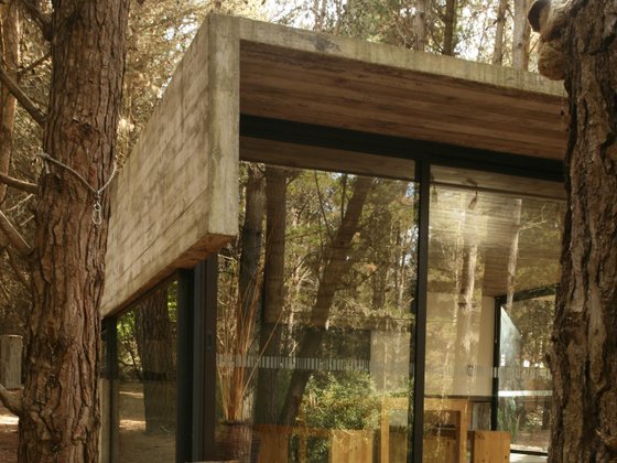 Nueva Casa