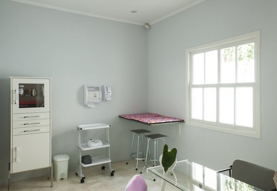 Foto del proyecto