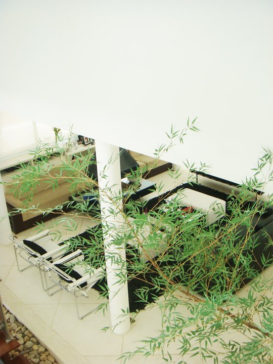 Foto del proyecto