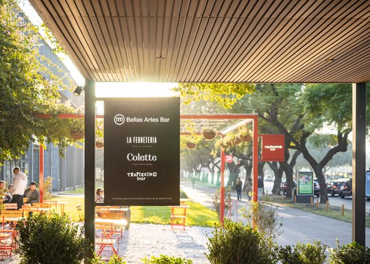 Foto del proyecto