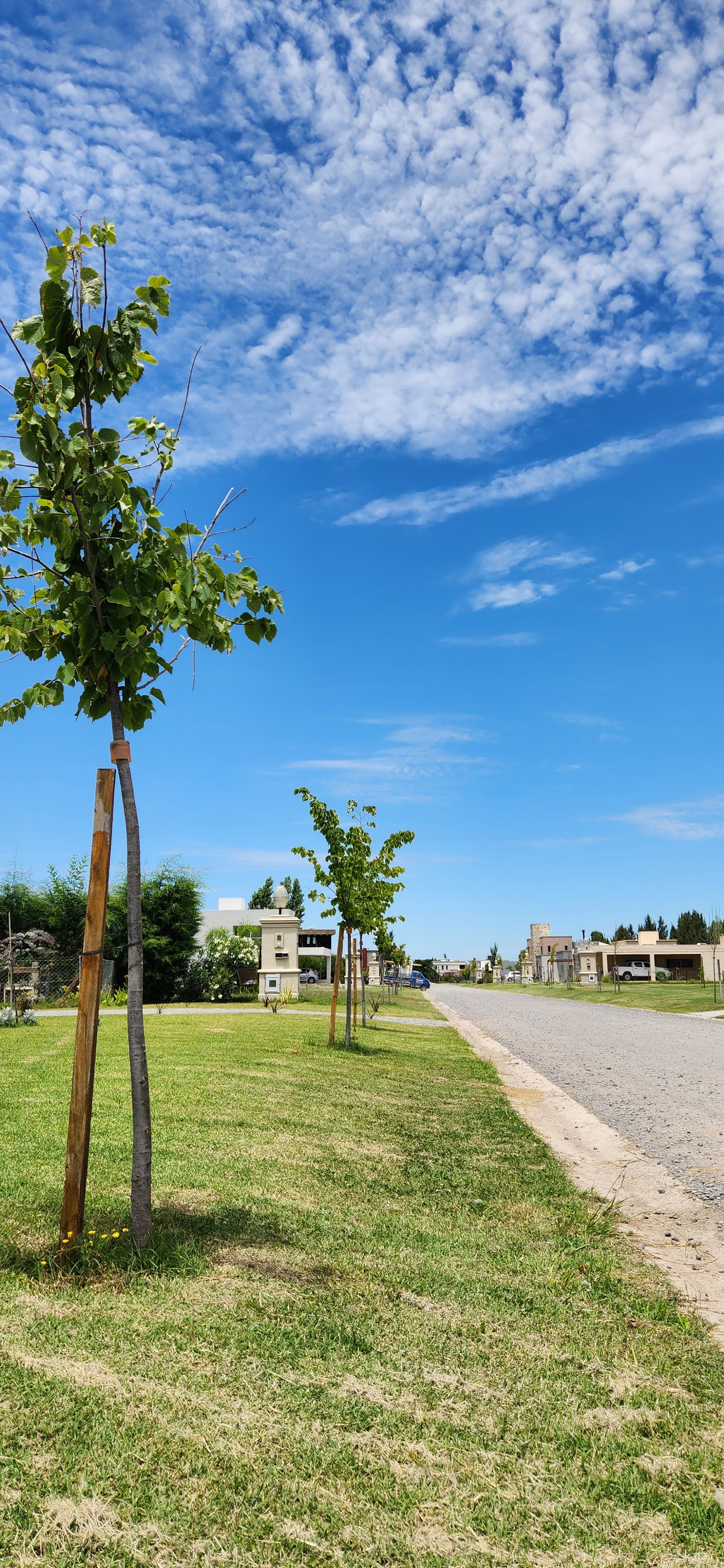 Rua suburbana com casas modernas e céu nublado — projeto Masterplan arbolado urbano - Lagos de San Eliseo, por Estudio Rifahi, em San Vicente
