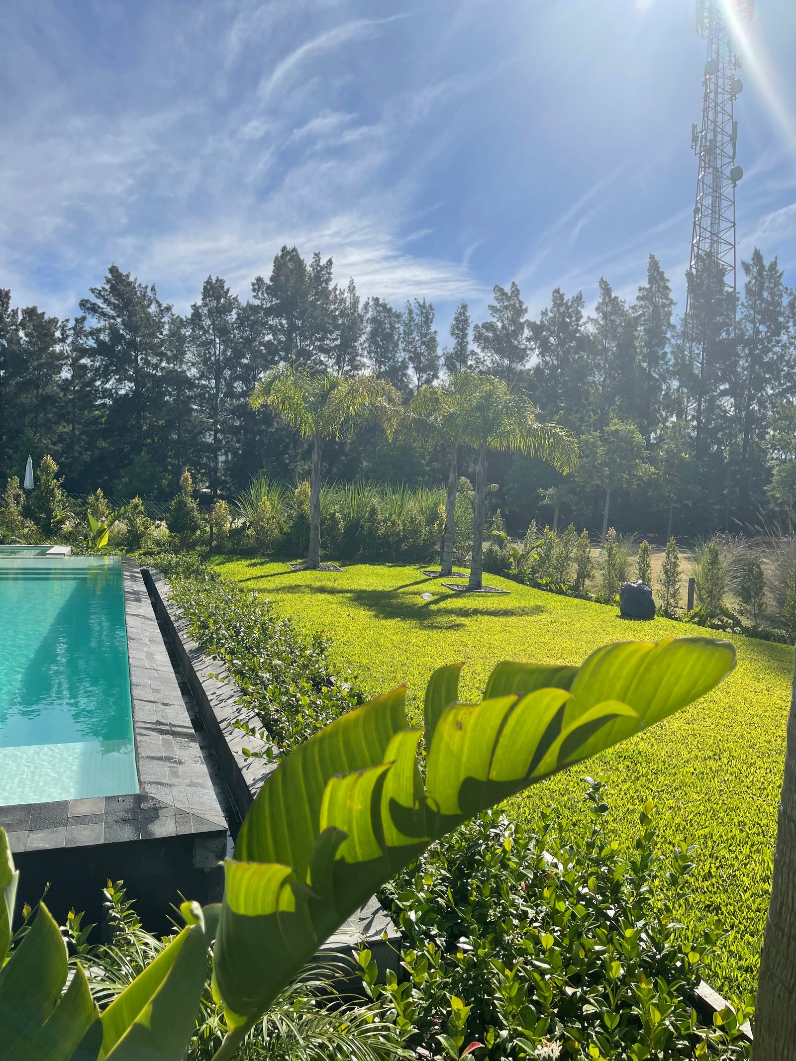 Piscina infinita em jardim exuberante com torre de telecomunicações — projeto ALBANUEVA, por Baires Green, em B1648 Tigre