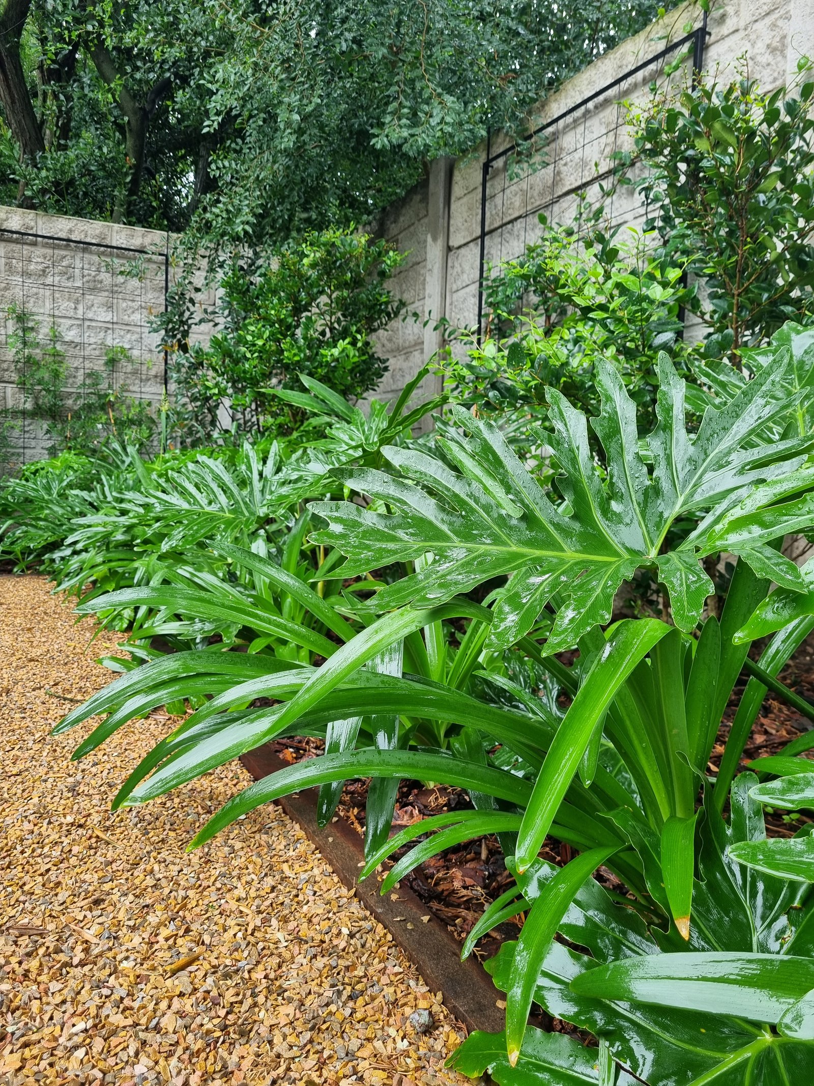 Jardín con grava, plantas exuberantes y muro de bloques — proyecto La Quinta, por Marcela García Brünner Paisajista, en El Pato
