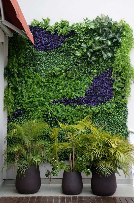 Foto del proyecto