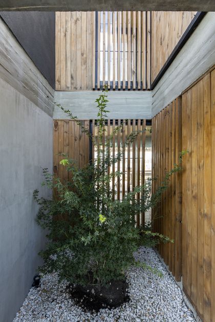 Patio interior minimalista con jardin vertical y cerramiento de madera — proyecto Casa ES, por Facundo Arana Arquitecto