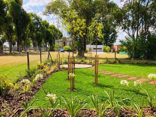 Foto del proyecto