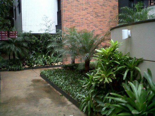 Foto del proyecto