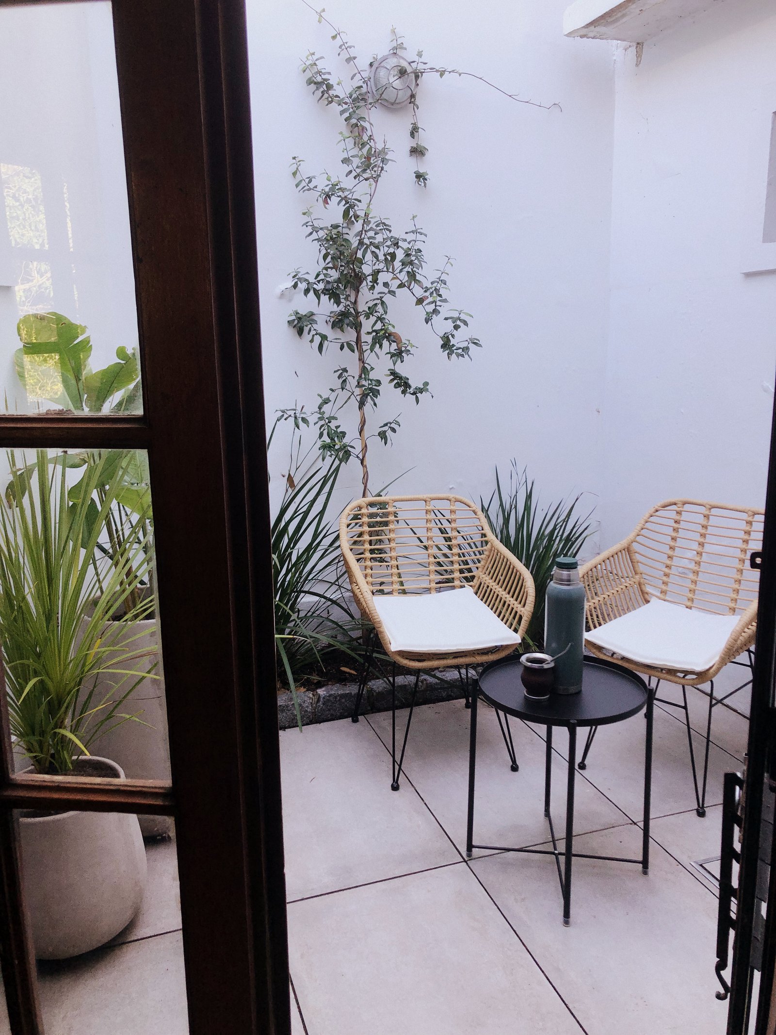 Pátio moderno com cadeiras de rattan e plantas — projeto Reforma patio interno Casa, La Plata, por Estudio cardo, em C. 47 119