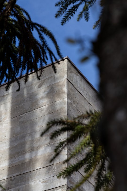 Foto del proyecto