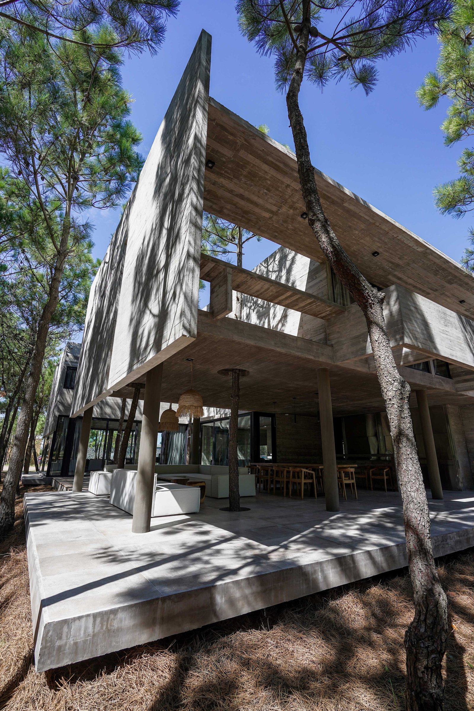 casa moderna de concreto aparente com árvores integradas e pátio aberto — projeto Casa 4H, por Besonías Almeida arquitectos, em X6VF+67