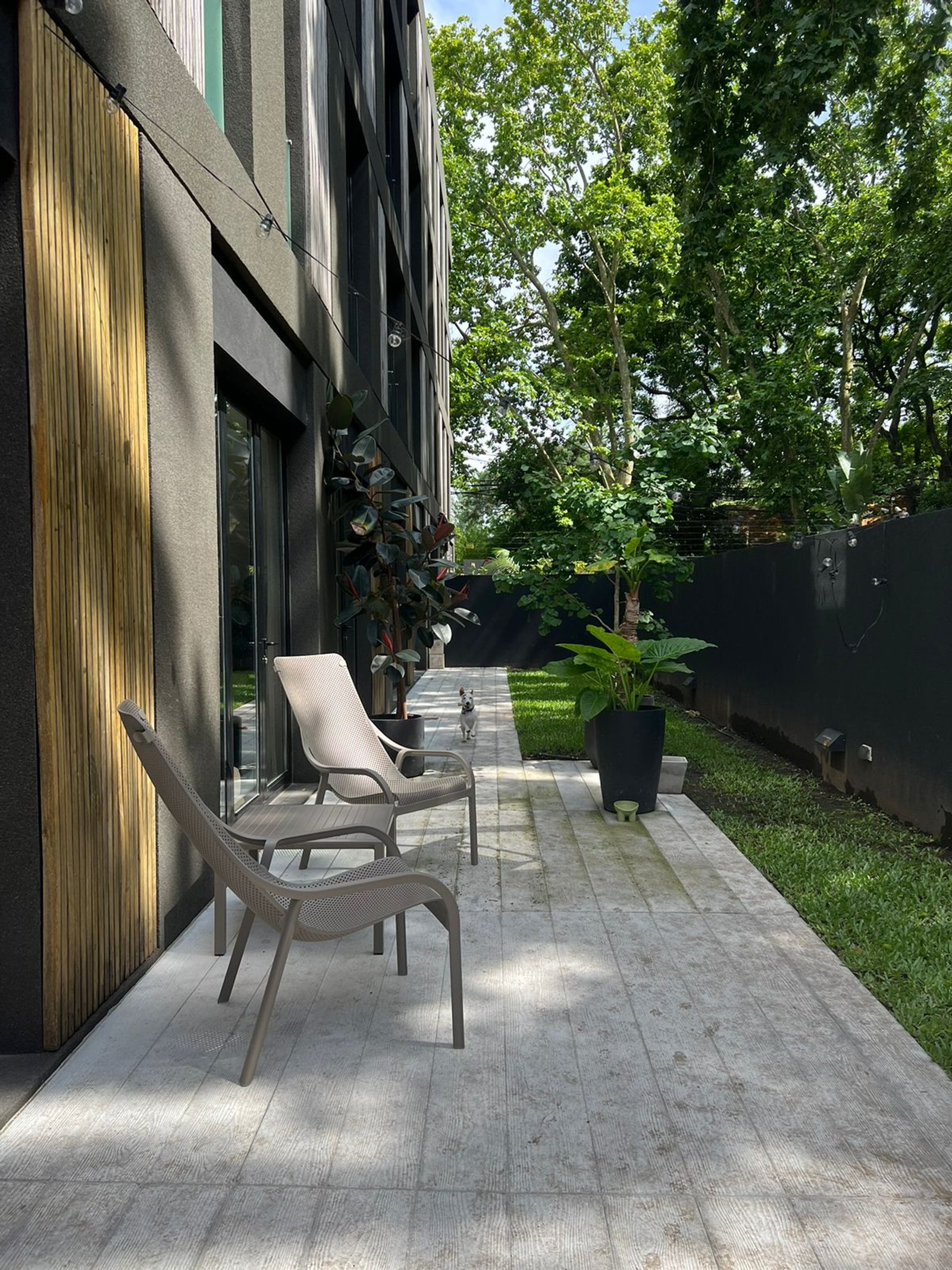 Patio moderno con sillas de exterior y vegetación exuberante — proyecto Reposeras NARDI®, por Casa Nuñez