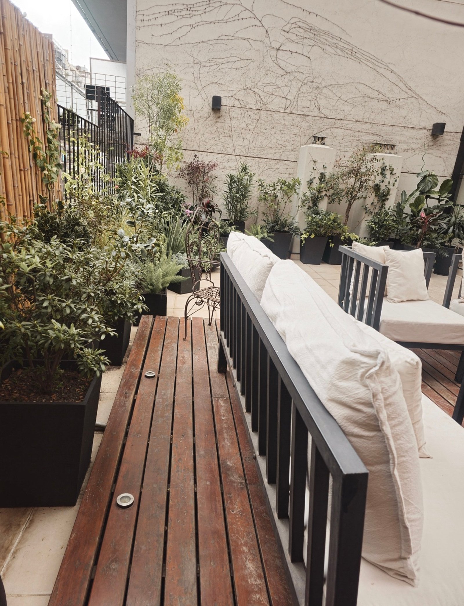 Patio moderno con deck de madera y vegetación exuberante — proyecto Cabello, por Claraboia , en Palermo
