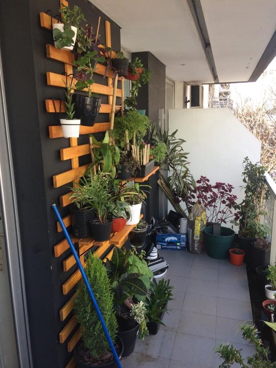 Foto del proyecto