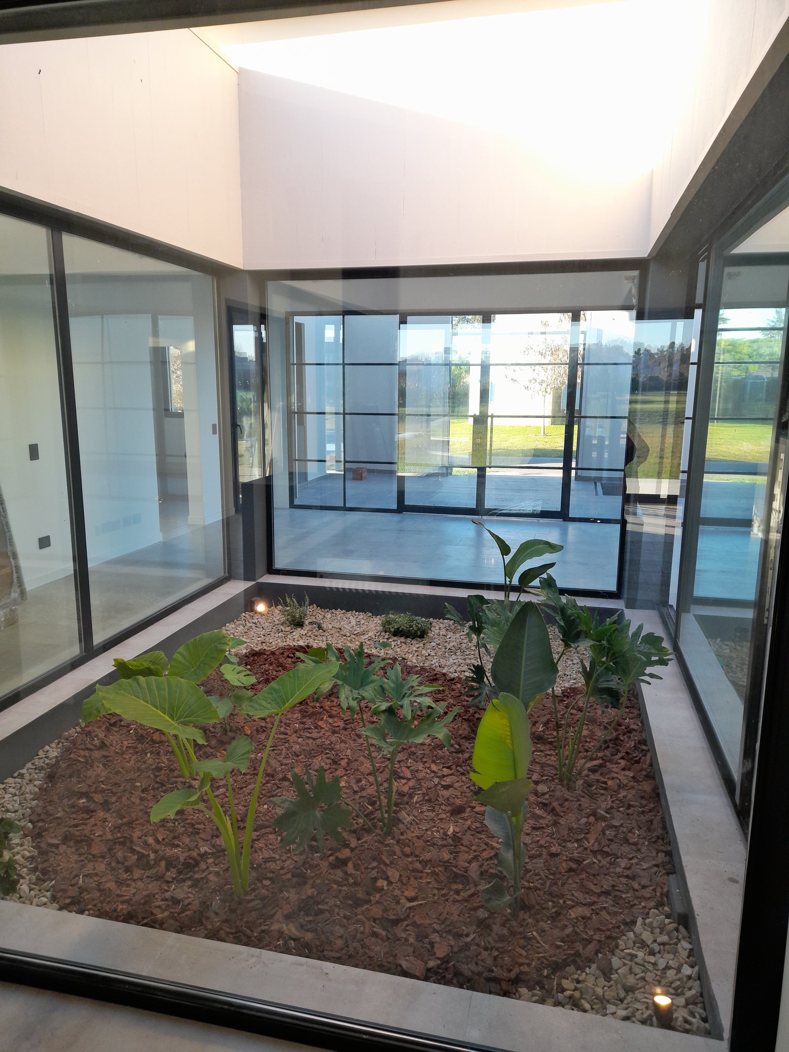Patio vidriado con jardín interior y techo de cristal — proyecto Proy. integral - Pilar del este, por Jardinmania, en Pilar