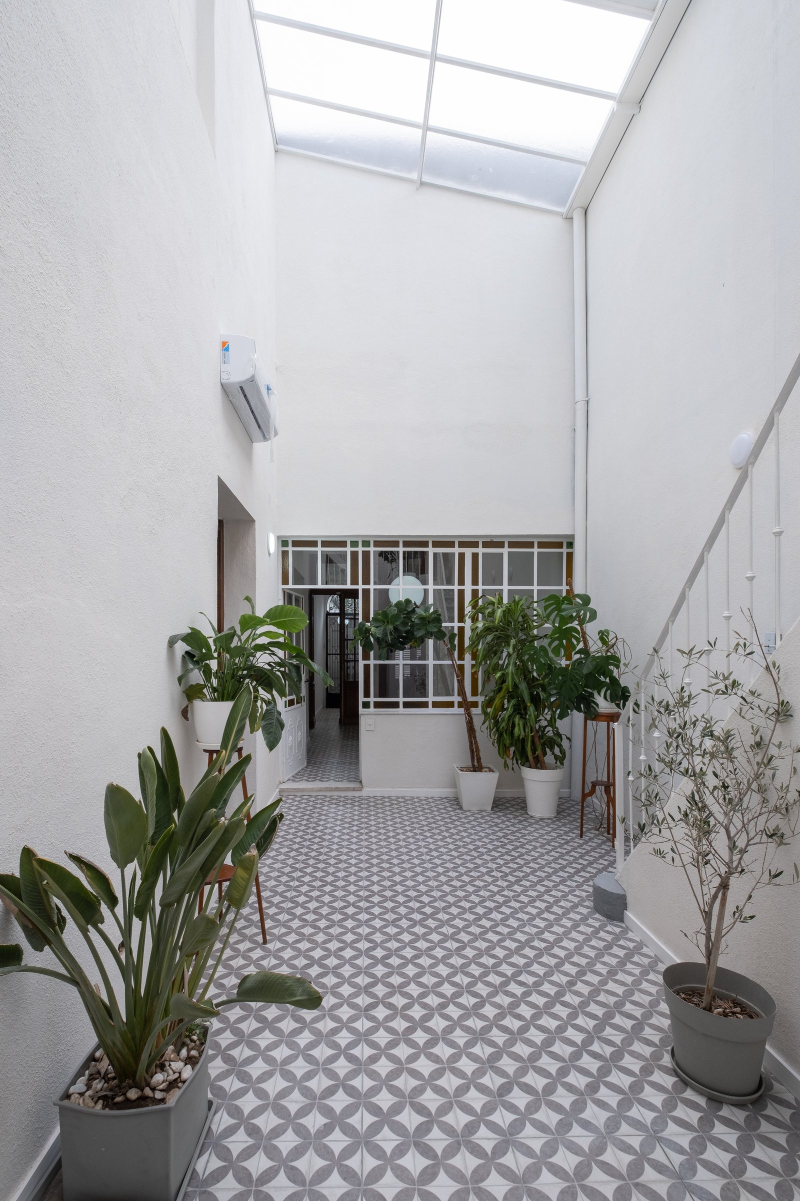 Pátio moderno com piso de ladrilho geométrico e plantas — projeto Casa Patio, por Herrera Ungaro, em San Cristóbal
