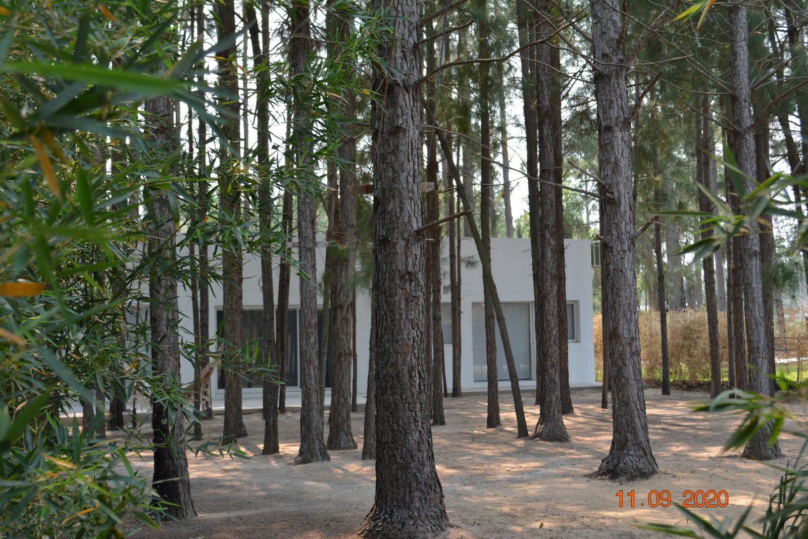 Casa moderna con fachada blanca y grandes ventanales en bosque — proyecto Casa en el Bosque, por Arquitecto Gustavo Maidana, en Santa Ana de los Guácaras