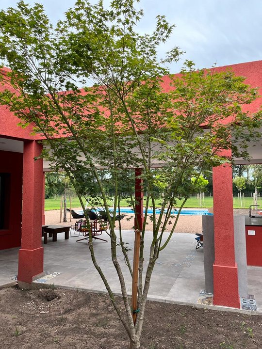 Foto del proyecto