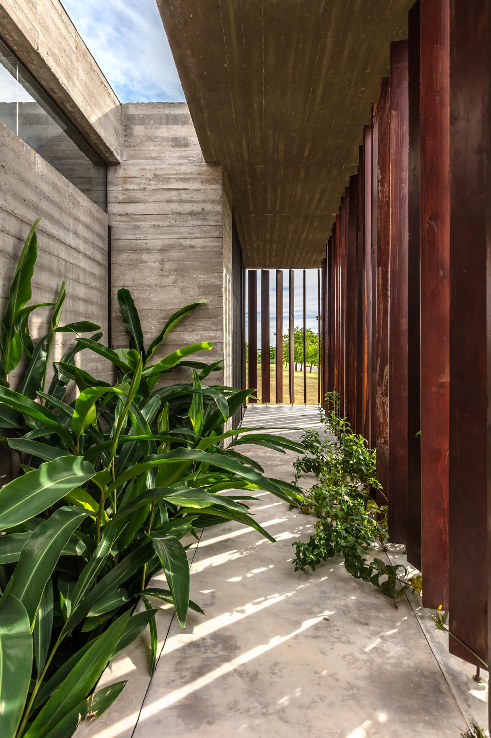 Fachada moderna com concreto aparente, madeira e vegetação exuberante — projeto Casa Pilará, por Besonías Almeida arquitectos, em Pilar