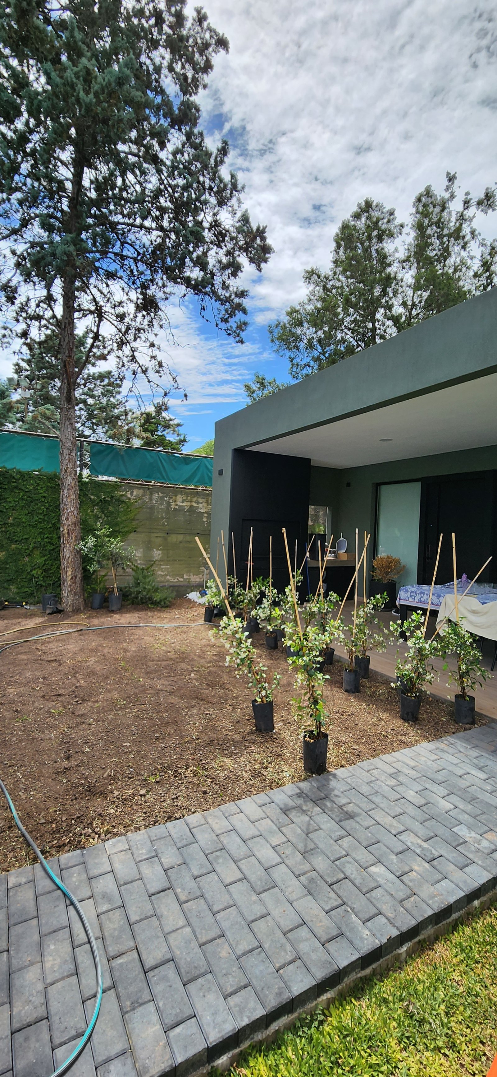 Patio moderno con plantas en macetas y camino de piedra — proyecto Casa SF, por Estudio Rifahi, en Bella Vista